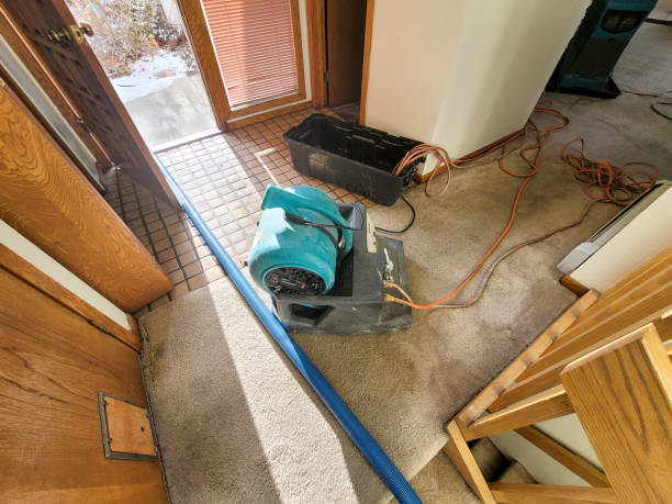 Best Sewage cleanup and water damage restoration  in Topton, PA
