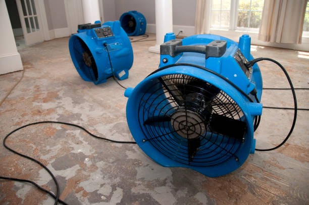 Water damage restoration insurance claims in Topton, PA