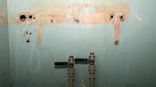 Reliable Topton, PA Water damage restoration Solutions