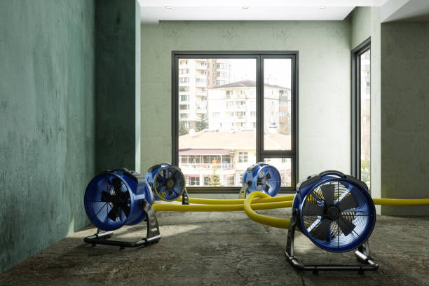 Trusted Topton, PA Water damage restoration Experts