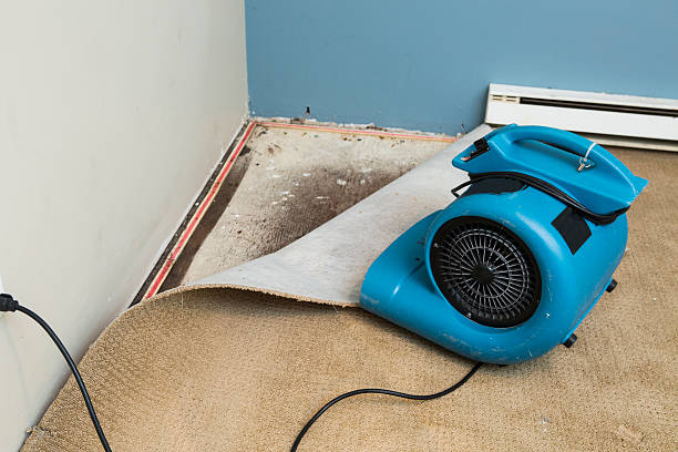 Best 24/7 water damage repair  in Topton, PA
